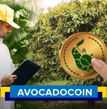 avocado coin